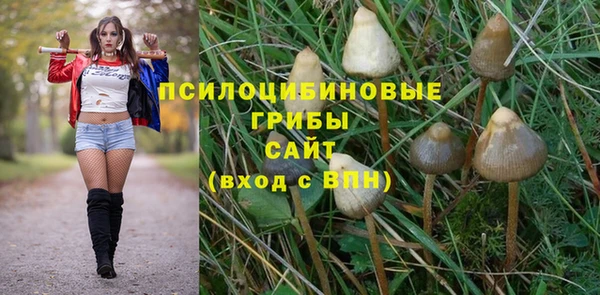 мяу мяу мука Горняк