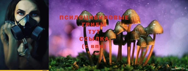 твердый Горно-Алтайск