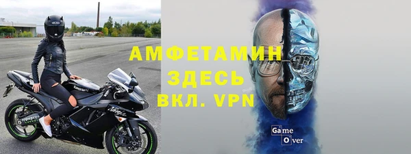 мяу мяу мука Горняк