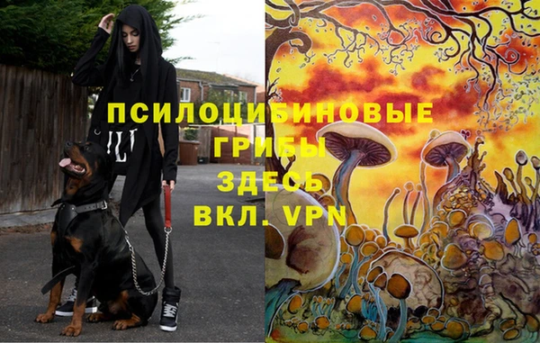 кристаллы Горнозаводск