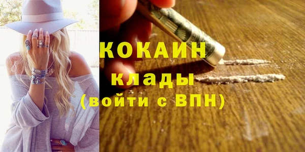 мяу мяу мука Горняк