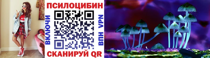 Галлюциногенные грибы Magic Shrooms  Сургут 